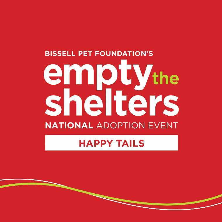 Montgomery County Animal Services Needs Help to Try and Empty the Shelter