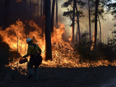 Prescribed burning to take place at W. Goodrich Jones State Forest Feb. 3-5