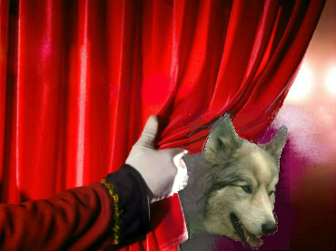 Missoula Children’s Theatre presents Little Red Riding Hood