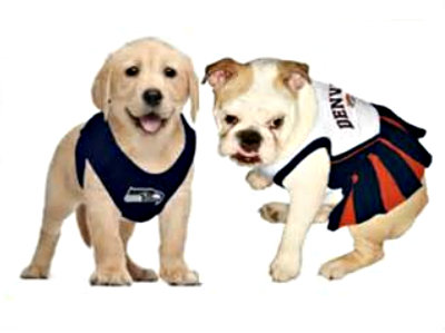 Keep pets from the Super Bowl tailgating party food