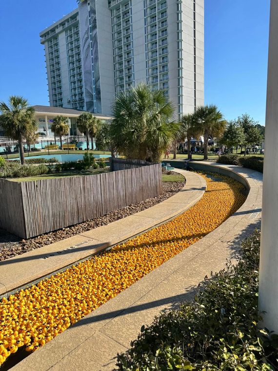 Community Assistance Center announces 18th Annual Duck Race presented by Waste Connections at Margaritaville Lake Resort