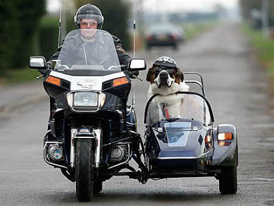 Operation Pets Alive! revs up for 2nd Annual Motorcycle Rescue Ride