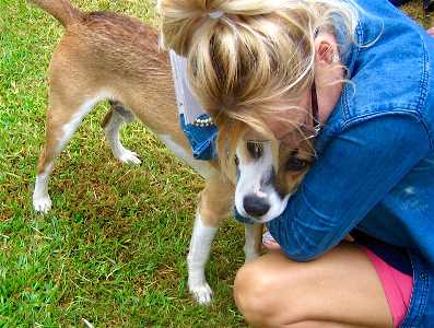 Conroe Animal Adoption Center over capacity; seeking foster and/or forever families