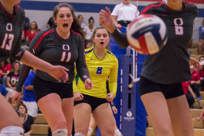 VOLLEYBALL: Lady War Eagles fall short of state championship