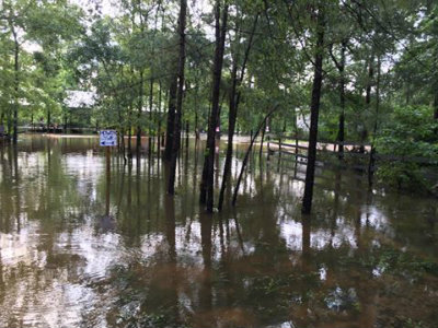 County Judge Craig Doyal issues local disaster declaration for flooding