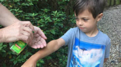 Mosquitoes test positive for West Nile virus in The Woodlands