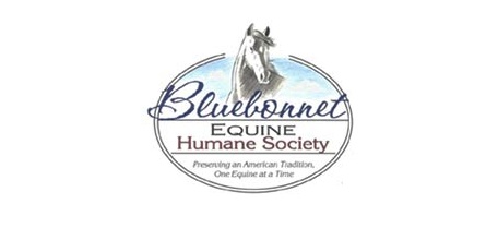 Local rescue, tack store join for horse 'adopt-a-thon'