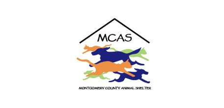 County animal shelter sees influx of animals this summer