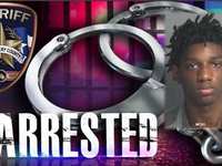 MCTXSheriff Arrests Car Thief in Willis, TX