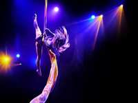 Cirque Adventure Brings High-Flying Fun to Margaritaville Lake Resort Lake Conroe | Houston Labor Day Weekend