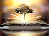Central Library, Conroe, Texas, Announces Events For January 2023