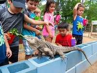 The Learning Zoo announces new weekend hours